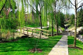 Botanik Restaurant (NGBB Park Cafe)